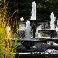 Cambridge Botanic Garden