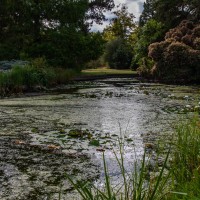 Cambridge Botanic Garden