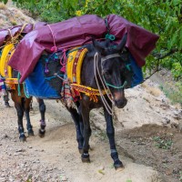 Morocco Toubkal Climb