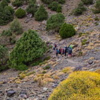 Morocco Toubkal Climb