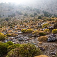 Morocco Toubkal Climb