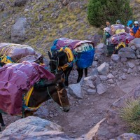 Morocco Toubkal Climb