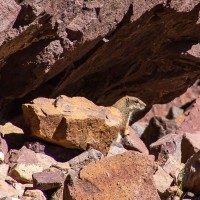 Morocco Toubkal Climb