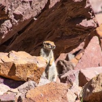 Morocco Toubkal Climb