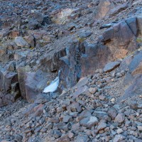 Morocco Toubkal Climb