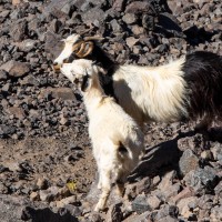 Morocco Toubkal Climb