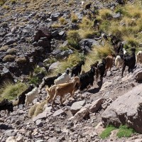 Morocco Toubkal Climb