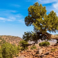 Morocco Toubkal Climb