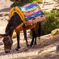 Morocco Toubkal Climb