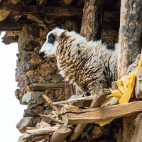 Morocco Toubkal Climb