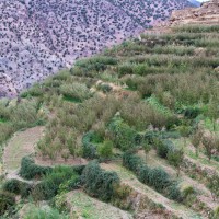 Morocco Toubkal Climb