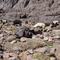 Morocco Toubkal Climb