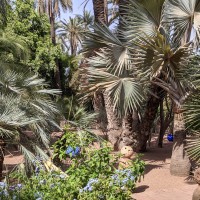 Morocco Toubkal Climb