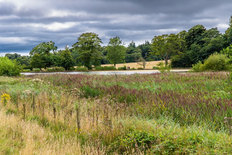 North Norfolk - National Trust Felbrigg Hall