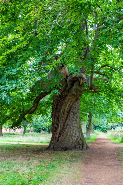 North Norfolk - National Trust Felbrigg Hall