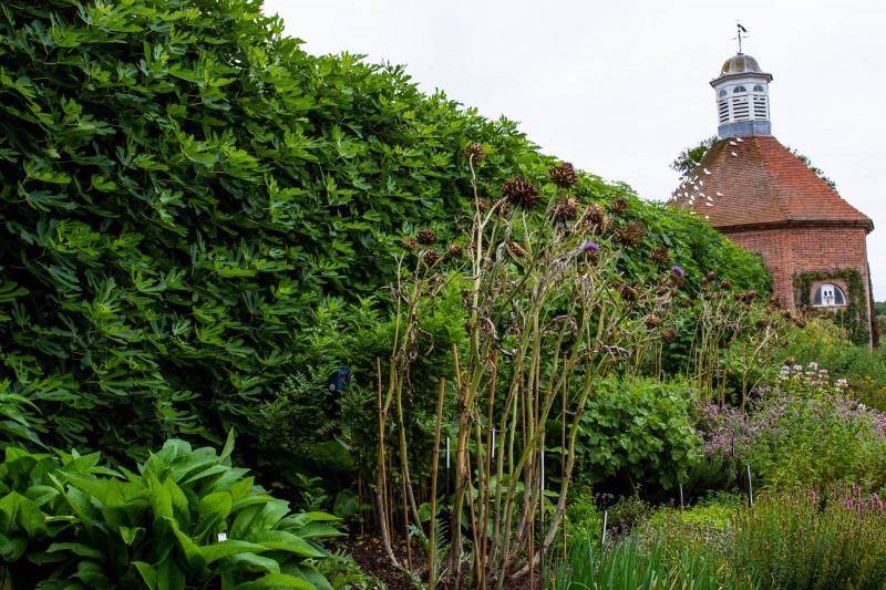 North Norfolk - National Trust Felbrigg Hall