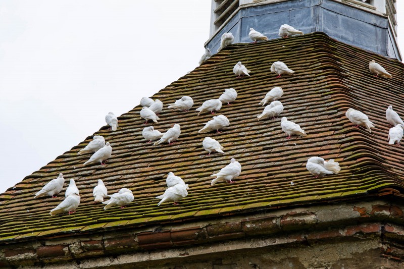 North Norfolk - National Trust Felbrigg Hall