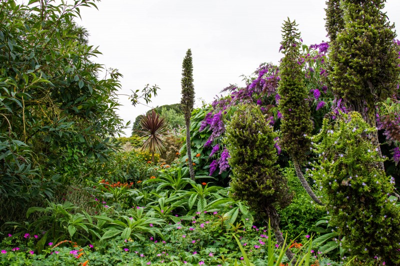 North Norfolk - National Trust Felbrigg Hall