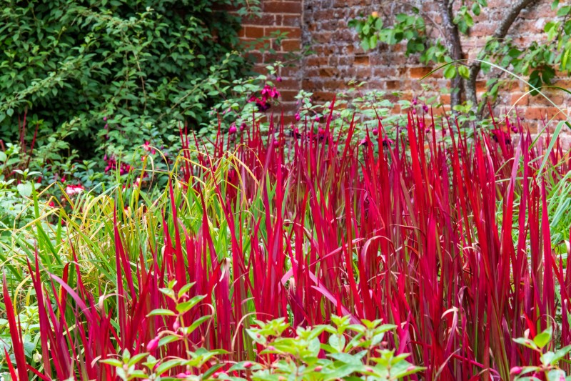 North Norfolk - National Trust Felbrigg Hall