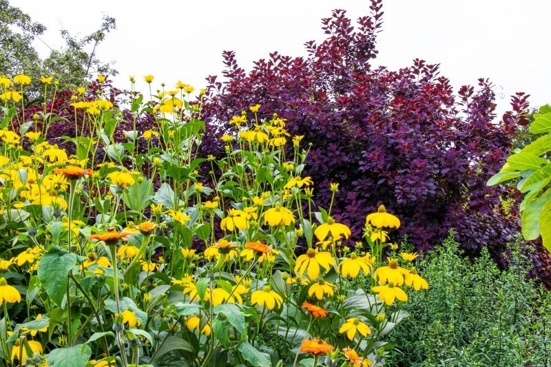 North Norfolk - National Trust Felbrigg Hall