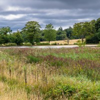 North Norfolk - National Trust Felbrigg Hall