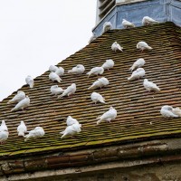 North Norfolk - National Trust Felbrigg Hall