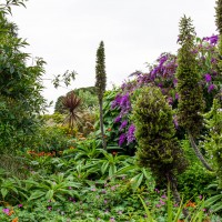 North Norfolk - National Trust Felbrigg Hall