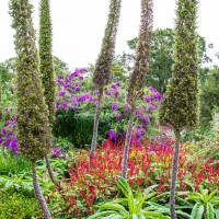 North Norfolk - National Trust Felbrigg Hall