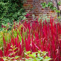 North Norfolk - National Trust Felbrigg Hall