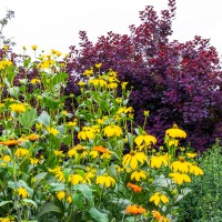 North Norfolk - National Trust Felbrigg Hall