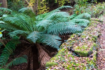 Portmeirion