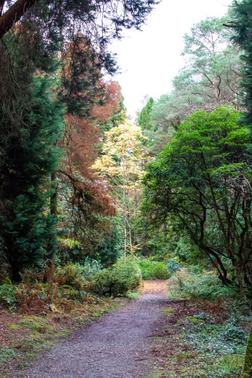 Portmeirion