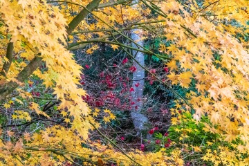 Portmeirion