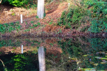 Portmeirion