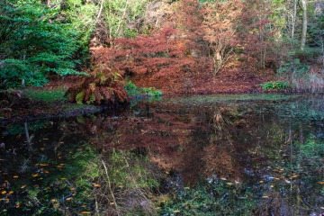 Portmeirion