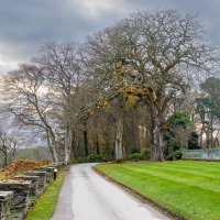 Portmeirion