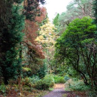 Portmeirion