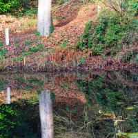 Portmeirion