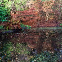 Portmeirion