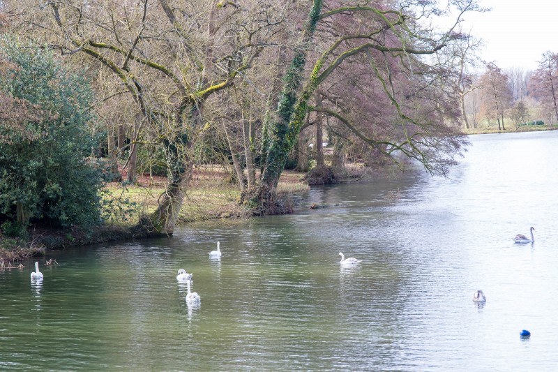 National Trust - Stowe