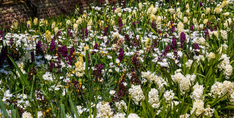 National Trust - Greys Court