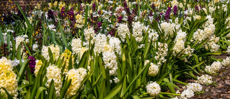 National Trust - Greys Court