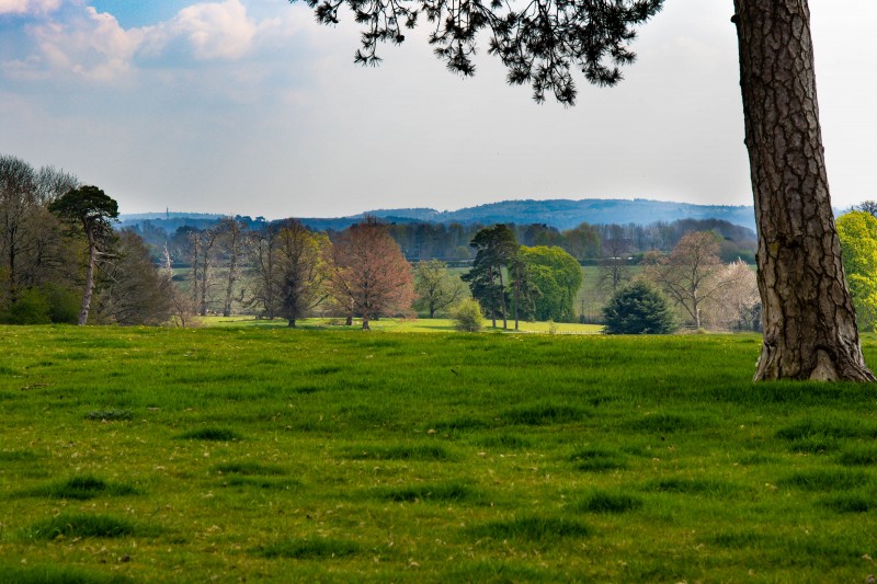 National Trust - Greys Court