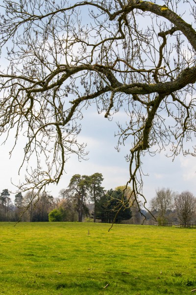 National Trust - Greys Court