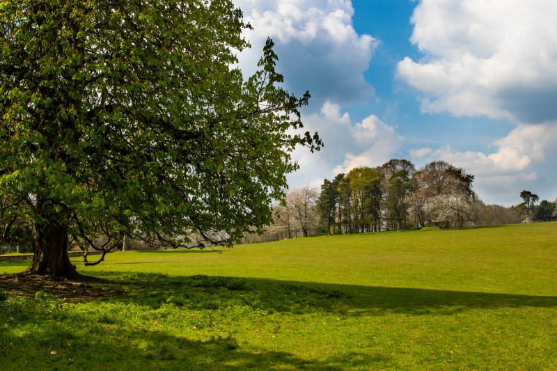 National Trust - Greys Court