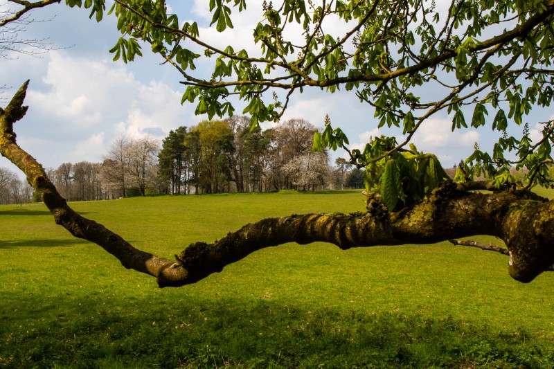 National Trust - Greys Court