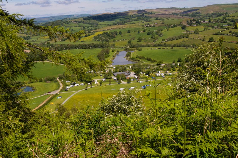 Camping at Fforestfields