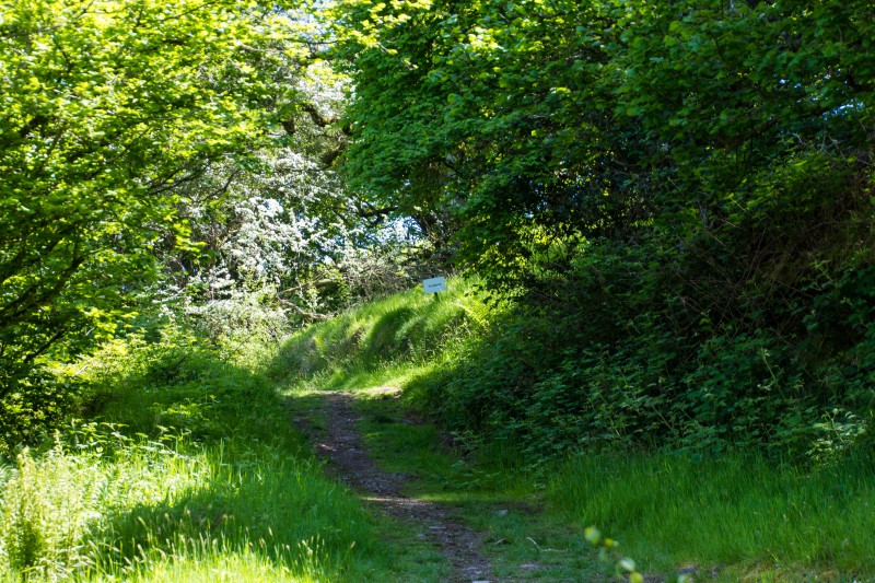 Camping at Fforestfields