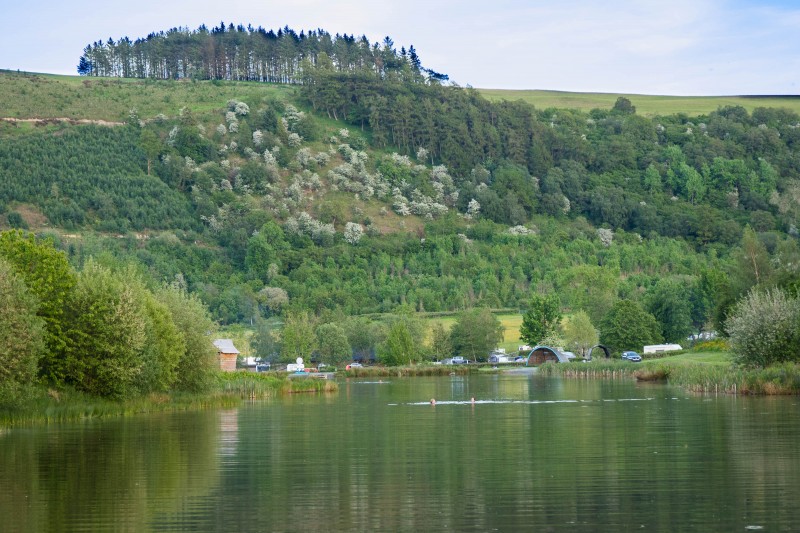 Camping at Fforestfields