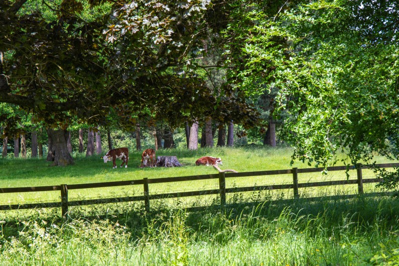 Greys Court